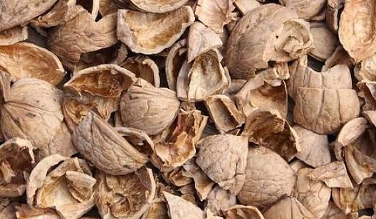  核桃壳中含|吃完的“核桃壳”不要扔，用水煮一煮，能解决许多人的“烦恼”