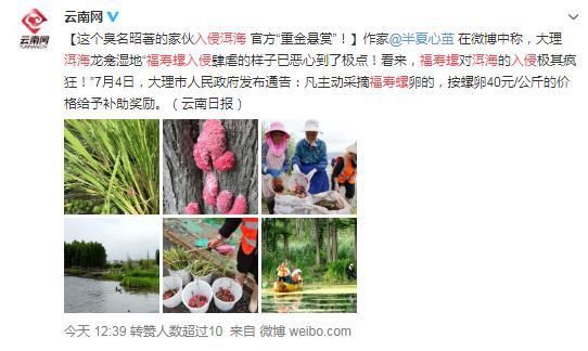  当成|洱海惊现外来物种，携带6000多条寄生虫，却被国人当成餐桌美味