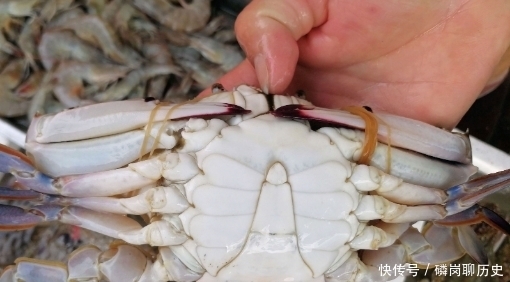 鲜嫩|梭子蟹上市了,渔民教你几个小妙招,挑出的梭子蟹肥美鲜嫩!