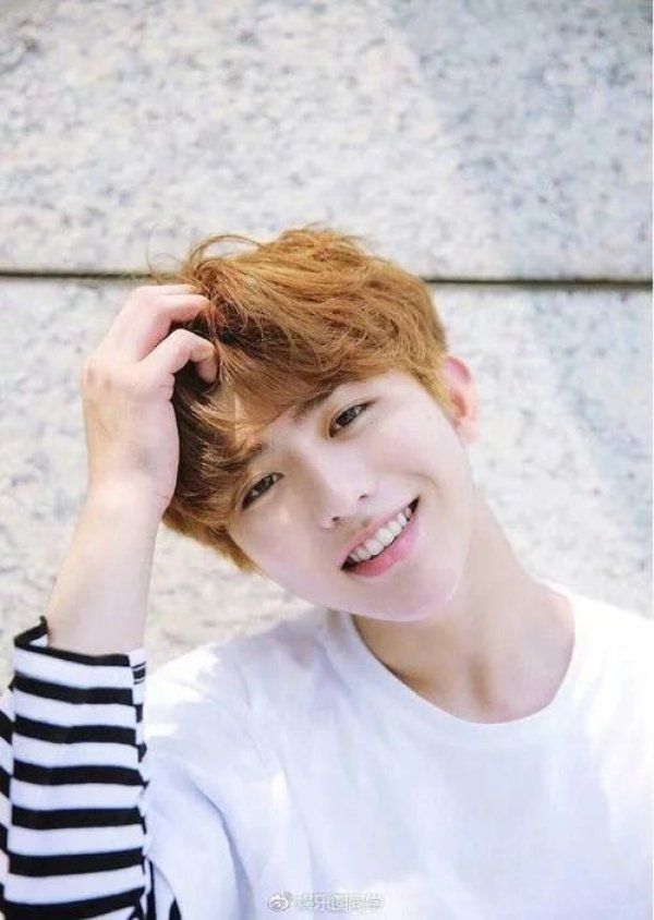 歌词|蔡徐坤唱《情人》,歌词引热议,原来湖南台吃过亏,只有一个目的