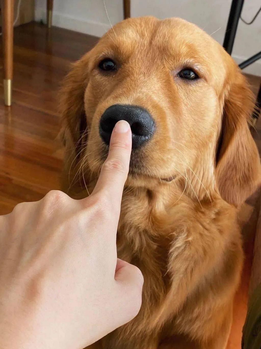 时装|棉麻丝绒时装特辑| 我们兵分四路之后的幕后故事