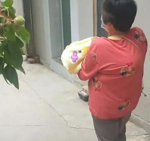 妈妈|“最憨厚爸爸”火了，扛着“整棵”桃树来医院接娃，妈妈无语了
