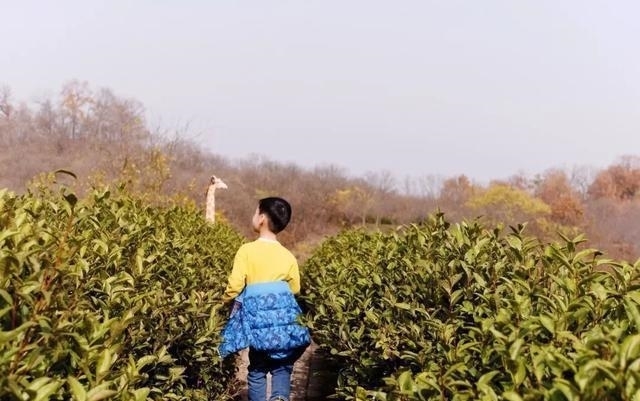 李玫瑾|李玫瑾:我用40年上千例儿童案例,回溯亲子关系对人格的影响