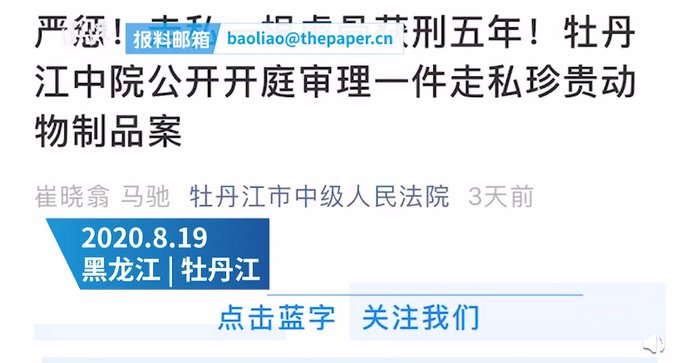 带回|农民工出国务工拾虎骨带回国内获刑5年，经鉴定价值20万元