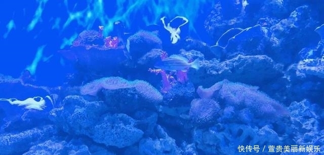 看过|看过太多的海,仍为这座“北方明珠”着迷