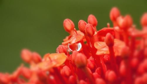  财运|2020年下半年几大星座财运好，咸鱼翻身，赚得钵满盆满什么都不愁