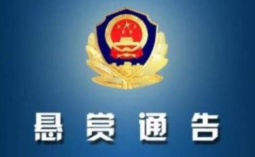  男子|男子捅伤晨跑老人后逃逸，警方20万元悬赏案件线索！