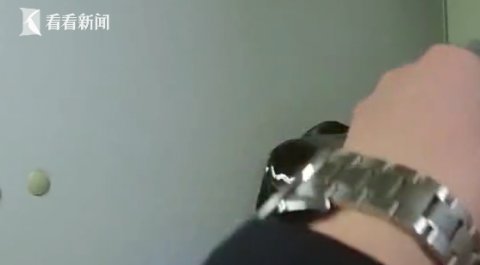 列车|偷别人化妆品穿走裤子！女子列车上伸“三只手”