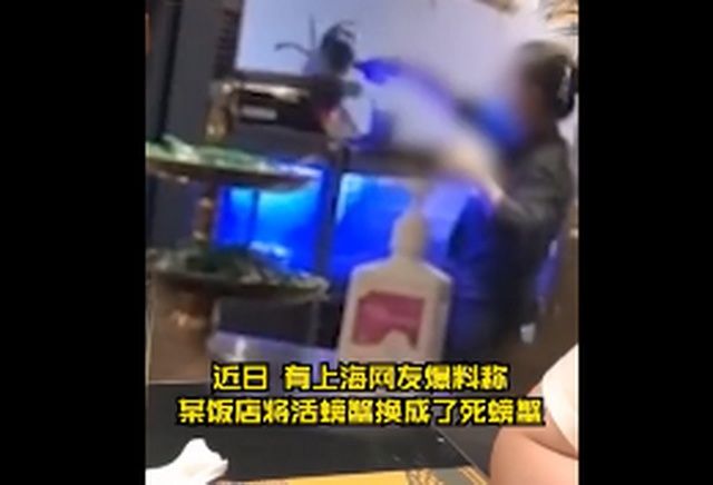 回应|网曝上海静安嘉里中心一饭店用死螃蟹掉包活螃蟹，涉事饭店回应了