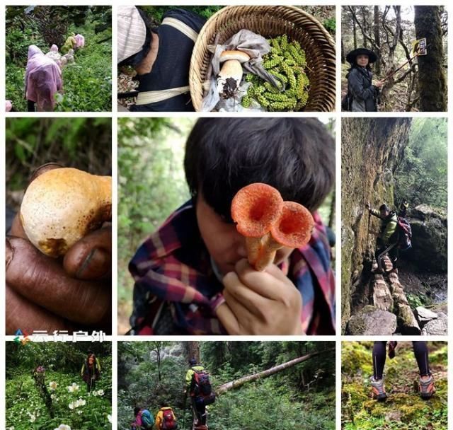 神山|无深度不云南——丽江巴拉神山徒步穿越攻略