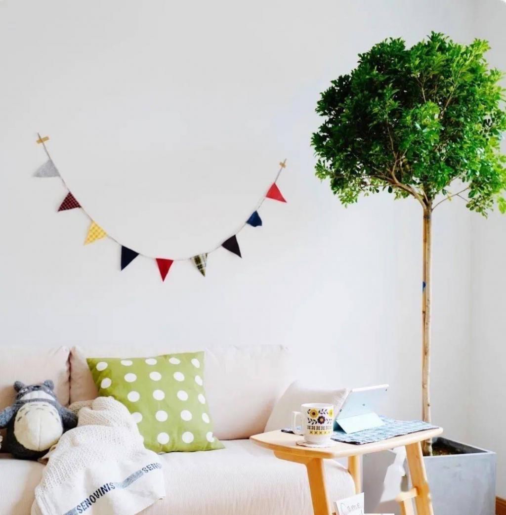  东西|这些东西在我收藏夹躺好久了……