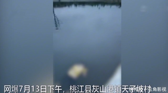  站立|2岁女童不慎落水 11岁哥哥下水施救 双双溺亡 家人痛哭无法站立