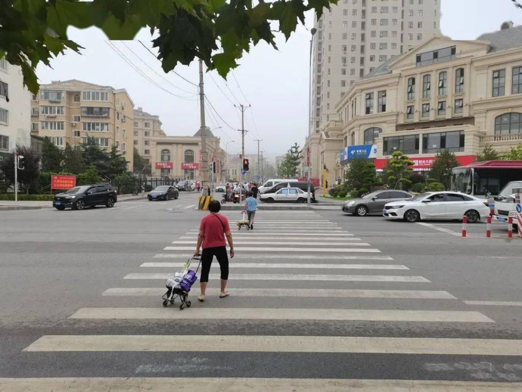 高清|高清曝光！司机行人都有！