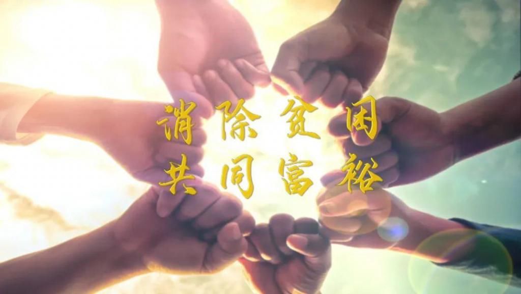 宾川|【法治宾川】查处167起,向交通违法行为说“不”!