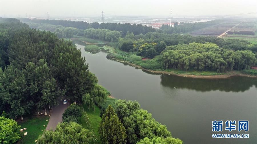  拍摄的天津|天津武清：湿地生态美