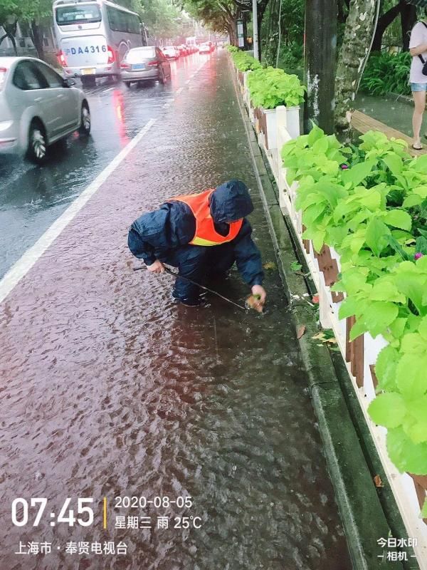 管理所|大水冲了龙王庙？奉贤区排水管理所被淹成“网红”，之后……