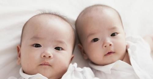  环境|双胞胎：同样的父母，同样的环境，为什么性格会不一样