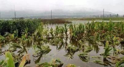  很快|十年农业九年赔钱，赚钱不易赔钱很快