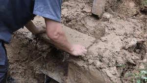  有个|山东有个大爷版李子柒！“玩木头”爆红海外！能造2600年前“鲁班凳”