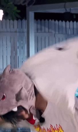  鞠躬|王一博时装走秀公开，变萌系被迫深鞠躬有点憨，自称太野秀弹舌