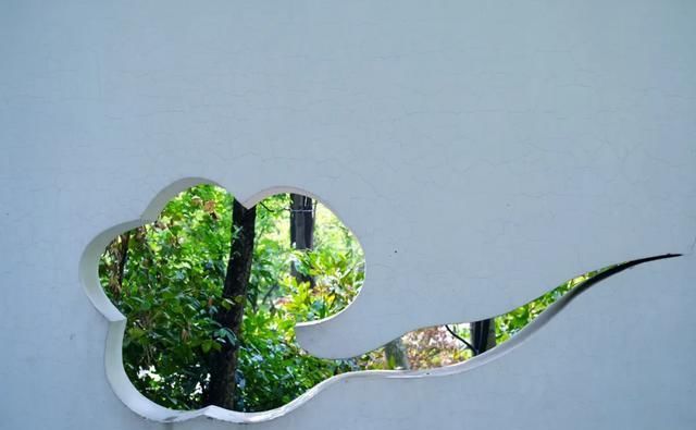 快乐|我在青岛做了这10件小事,找回了久违的快乐