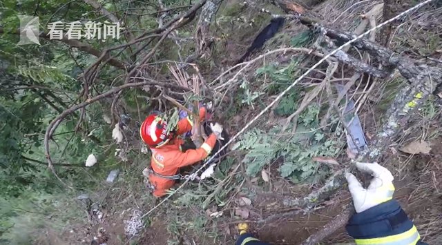  报警|小车冲下170米高山谷 13岁女孩爬回公路报警求助