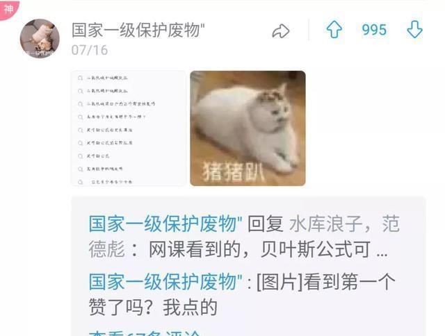  搜过|你曾经在浏览器搜过什么奇怪的东西？评论区车速太快我跟不上哈哈