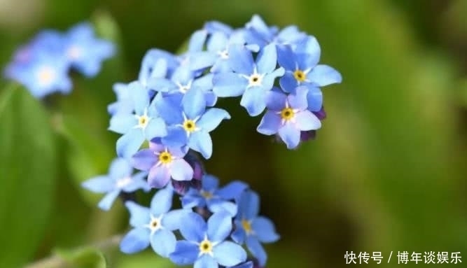  之人|8月开始财运一旺再旺，事业一直发，全家享福的四大生肖