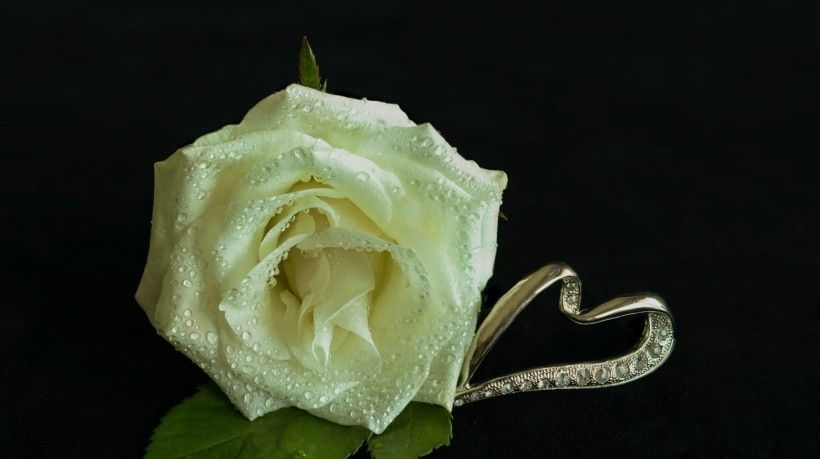  四大|7月下旬，大吉大利，四大生肖鸿运当头，事业顺利，爱情甜如蜜