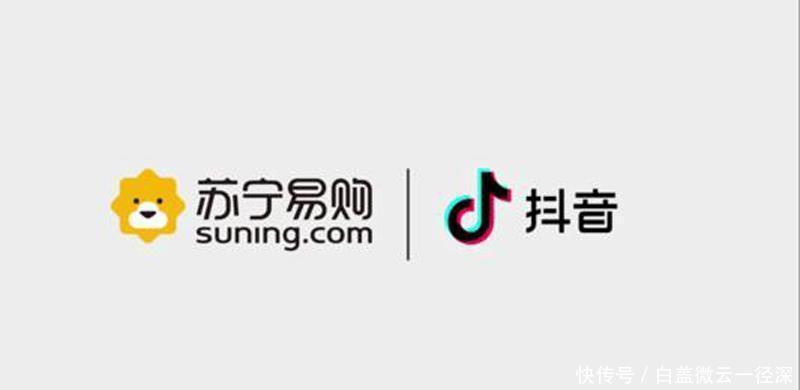 苏宁|苏宁救了罗永浩