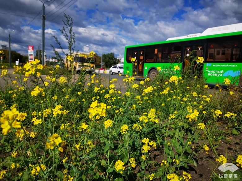 好看|拔草俄航95周年彩绘机！外观和机舱超好看，难怪有近9成上座率