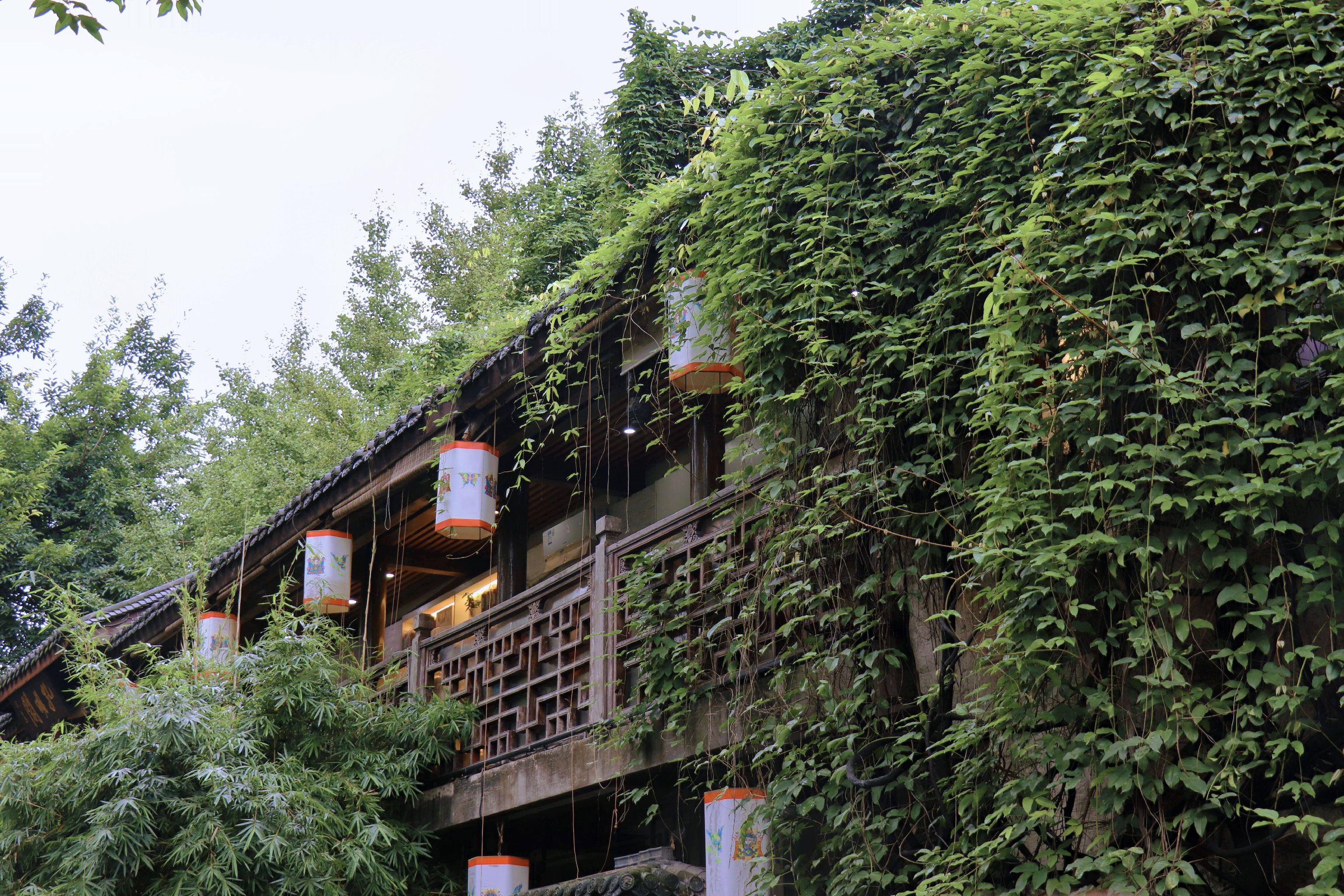 商场里|美食打卡攻略!每一个美食聚集地,都种满了成都人