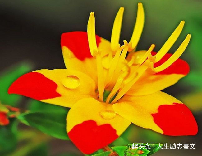 活出|老去的是年龄，不老的是气质！