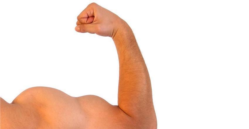 退化|今人为何没古人力气大 今人身上一处比古人发达, 却有三处退化了!