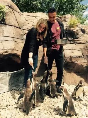 艾萨克|匪夷所思，奇葩游客在动物园里“顺手牵羊”