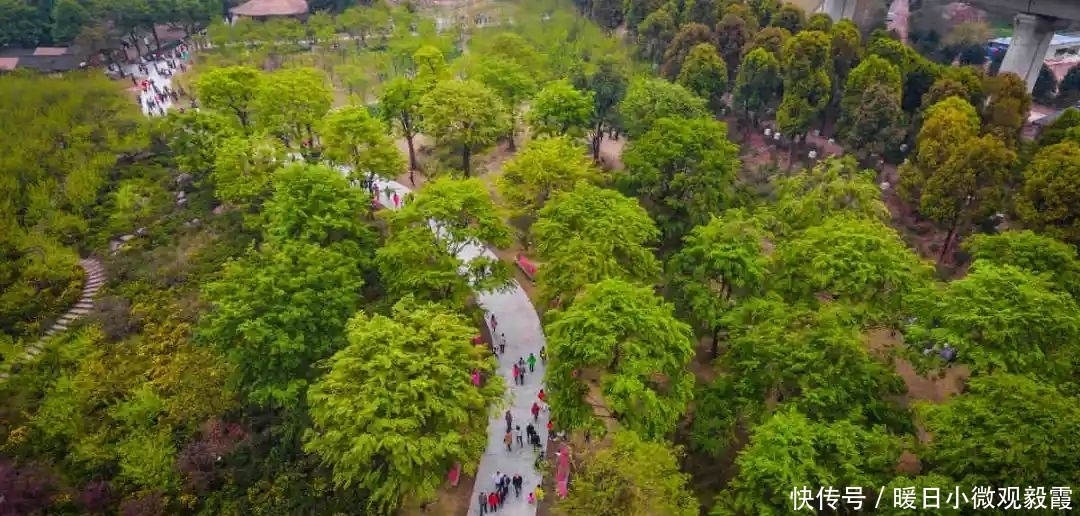 浅谈|浅谈秀丽东方IP对成都公园城市建设的借鉴作用