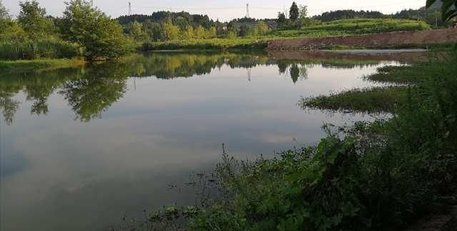  夏天|夏天钓板鲫也不难，滑漂远投钓板鲫实战技巧讲解