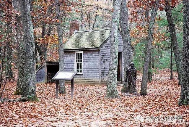 修行|《瓦尔登湖》:诗意的生活札记,自我修行的心灵圣经