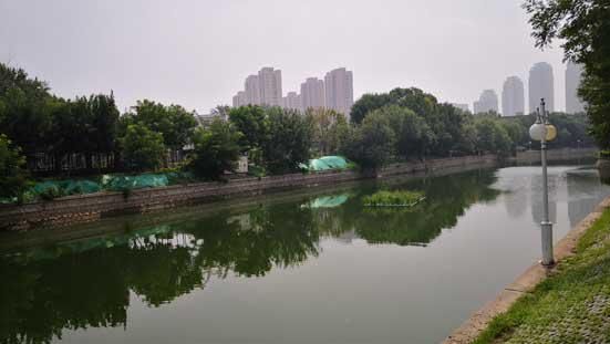 雨靴|今年汛期，刘大娘的雨靴咋没派上用场？“九河下梢”上千名河长治河记