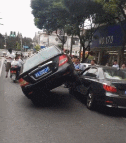  广场|搞笑GIF：广场新来的舞帝