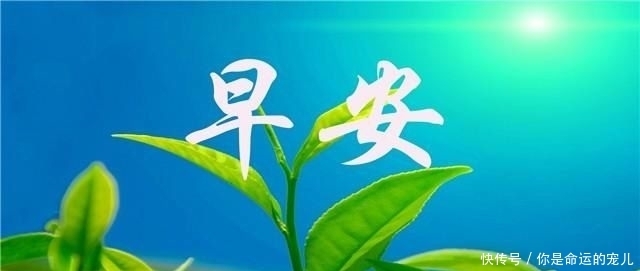 安心|早安心语:人生没有一帆风顺,只有披荆斩棘才能路路顺