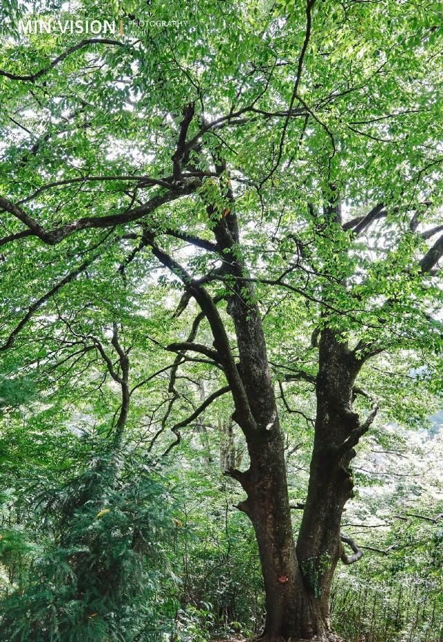  文化底蕴|湖南·邵阳隆回｜有钟灵毓秀的山水，有深厚的文化底蕴