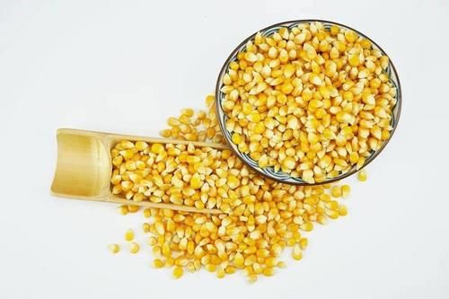  五谷杂粮|五谷杂粮的营养好，它营养丰富