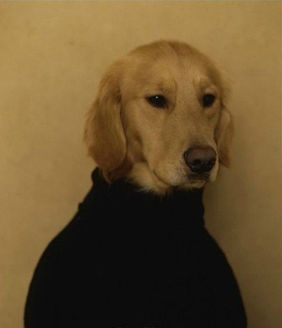  陌生人|长时间不遛狗，会造成什么后果？