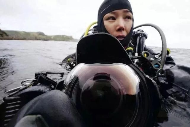 最美|41岁单亲妈妈放弃百万年薪，与鲨鱼共舞，冒死拍出最美水下中国！