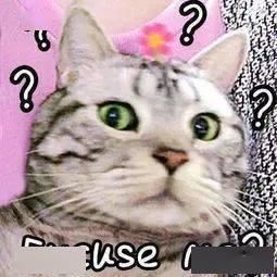  阿强|开了家“高大上”的手机店，竟然是了为诈骗