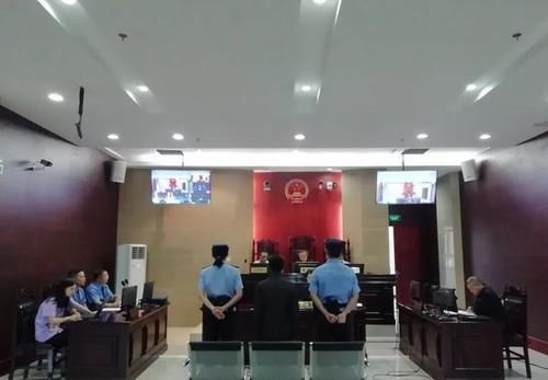 侦办|北川公安局侦办的4起非法狩猎案被法院依法宣判