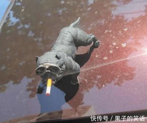 提醒|“我该怎样委婉又不失礼貌的提醒她一下呢?”啊哈哈哈哈好尴尬啊~