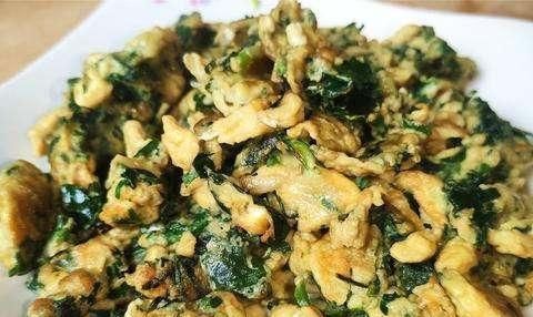 韭菜|不吃此菜太可惜,比韭菜香,比白菜鲜,营养丰富,老少皆宜