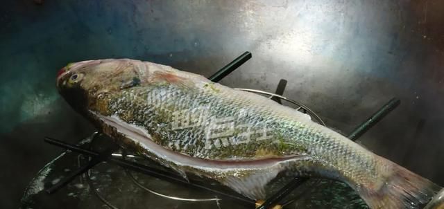 才能|清蒸鱼怎么做才能鲜嫩无腥味?不抹盐、不揭盖、不用碟子蒸!